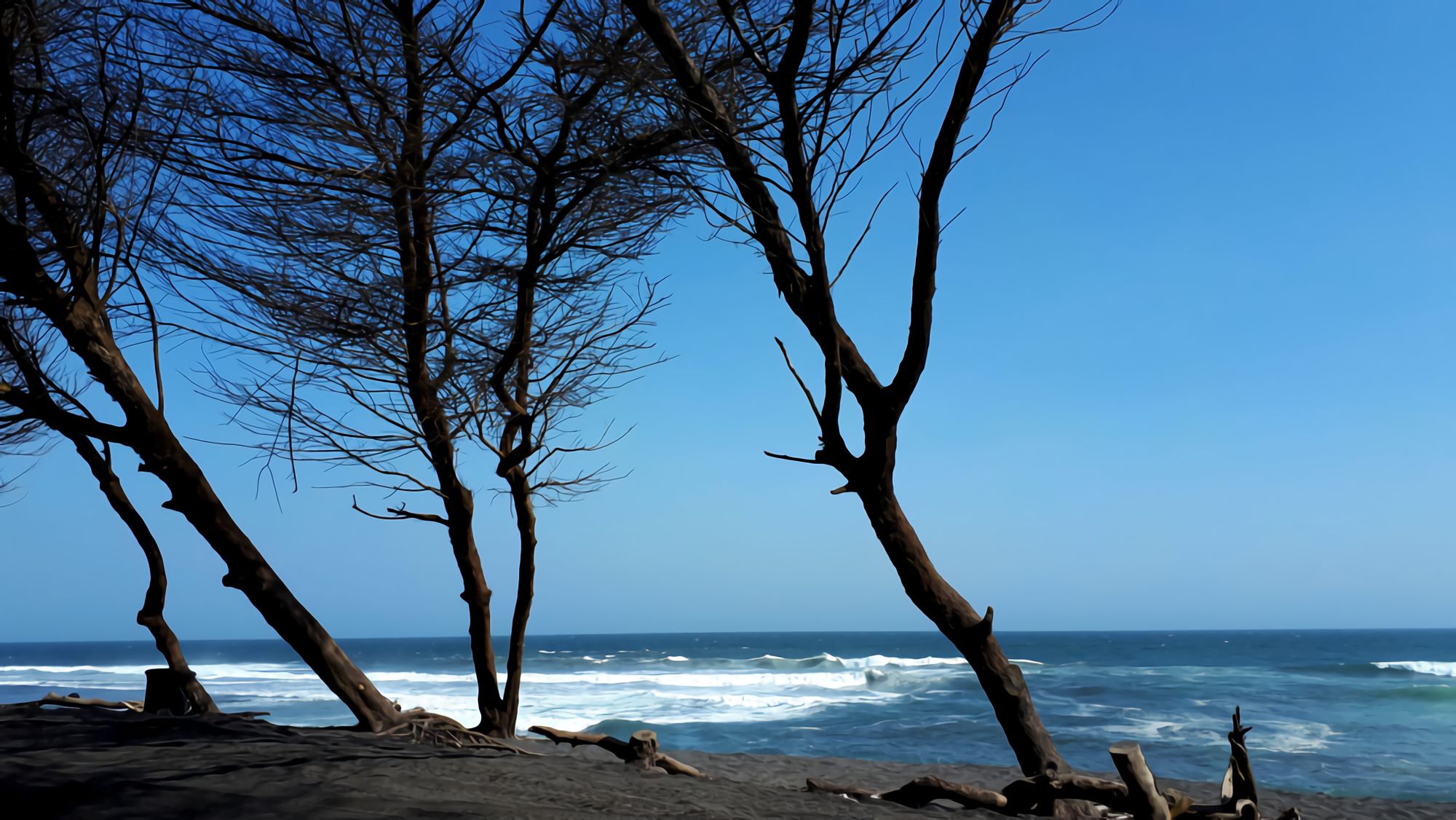 Pantai Goa Cemara Di Bantul Atourin