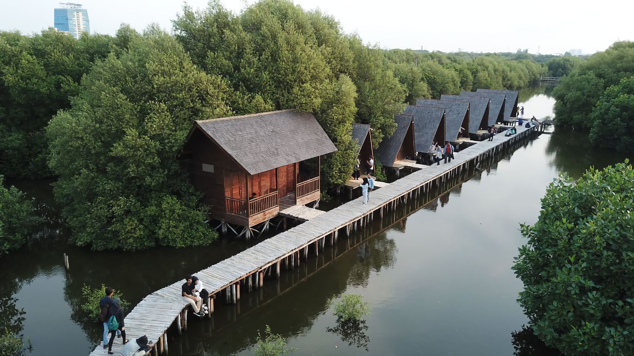 Hutan Mangrove PIK Di Jakarta | Atourin