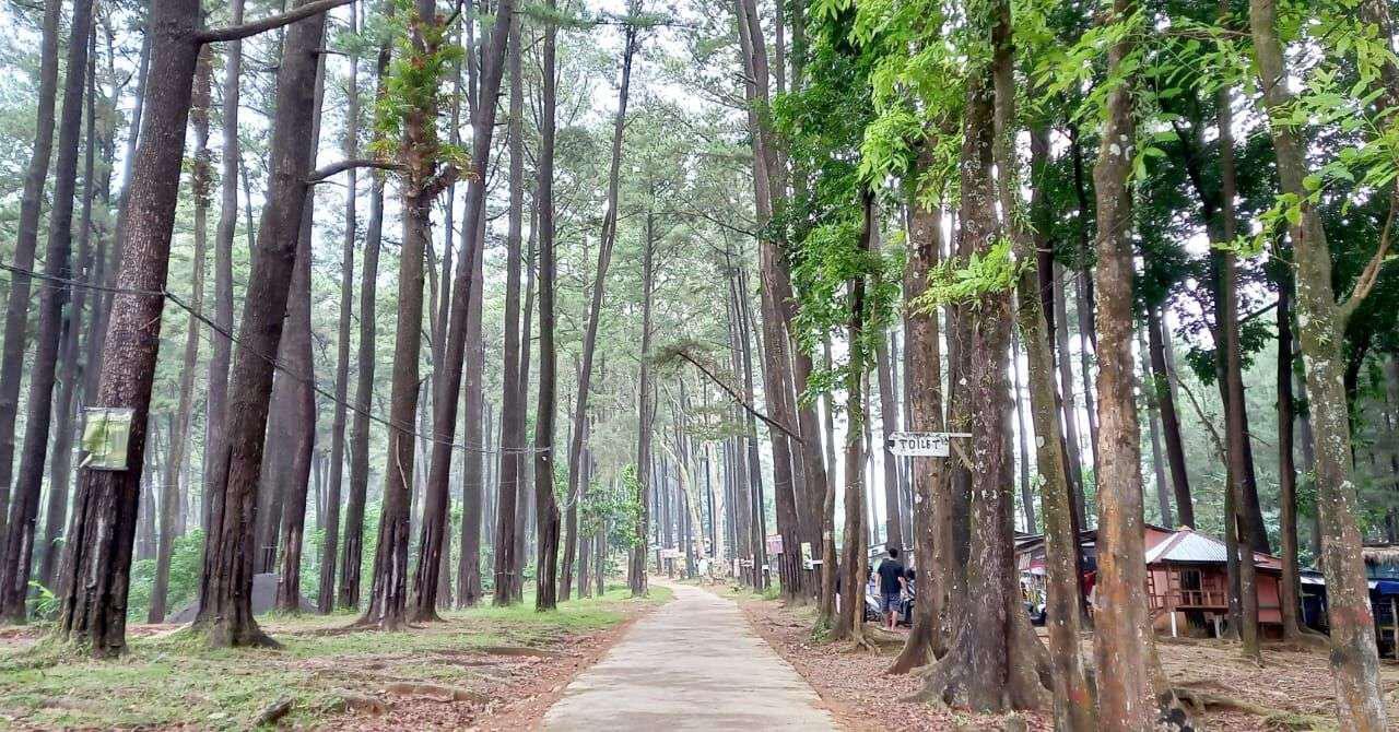 Hutan Wisata Sreni Indah di Jepara | Atourin