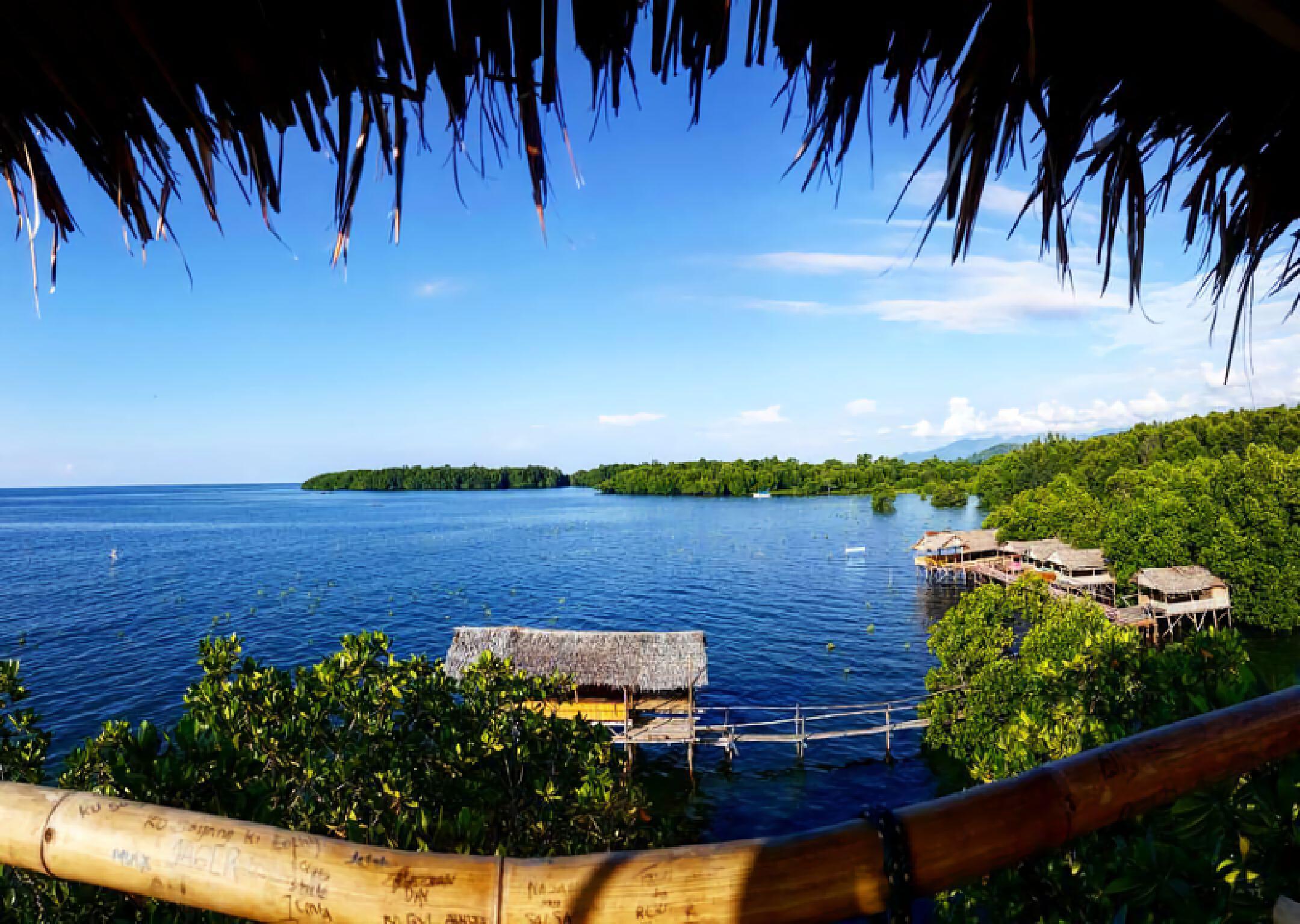 Wisata Mangrove Bebanga di Mamuju | Atourin