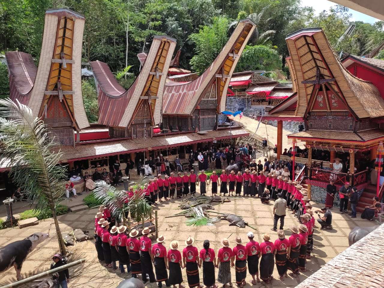 Toraja Cultural Landscape Tour | Atourin